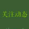 关注动态