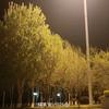 韩小雨