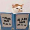 🇨🇳快乐与您相伴🇨🇳