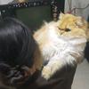小木子