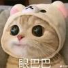 金甲嘟兰