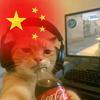 Tyloo_wys
