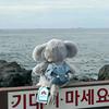 小🐟梁