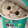 累了