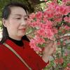 老花朵