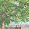 煦日程光(关苾茴)