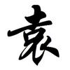 袁小东
