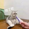 焦糖板栗