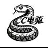 原来你也玩电摩