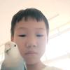 狗狗蓝鸟一家人。