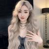 狮子座0804