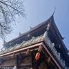 小勇日记