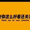 网络仔故事