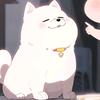 守护小小含