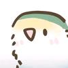 杜三鹦【晓月】