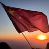 茶凉再续