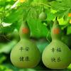 富贵吉祥