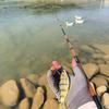 垂纶十方🎣