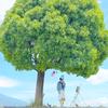 🍀小幸运🌿
