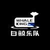 白鲸乐队