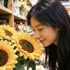 🌸与生活温柔和解