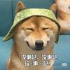 89466倔强