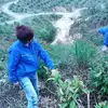 七友影视