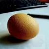 蓝蝴蝶