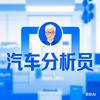 汽车分析员v大山