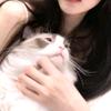 殷苏陈