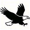 羚YANG🦅
