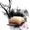 云间知意