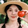 心想🍅成