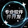 专业软件开发