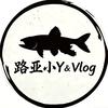 小歪不打龟🎣