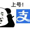 小小韭菜
