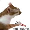 昵称
