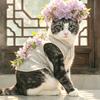 花臂大喵