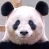 林冬阳
