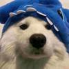 安逸