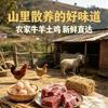 乡村里兔八哥