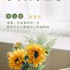 怀旧经典80