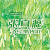张真源Z号聚光灯