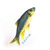 晚风溪流行🎣