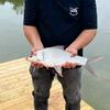 彪哥爱钓鱼🎣