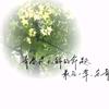 简乐