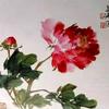 梵歌悠悠