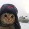 Small丶Tiger