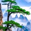 神马都是浮云