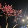 栗栗